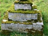image of grave number 100238